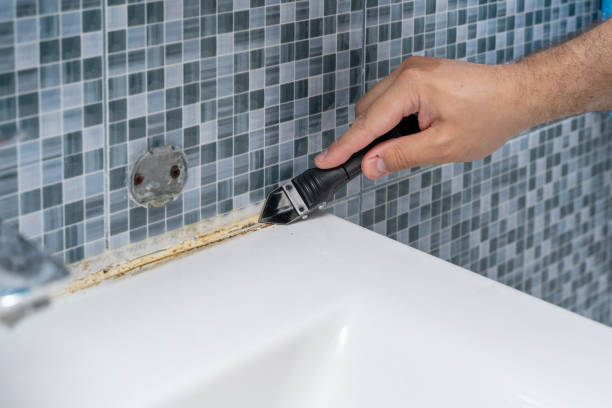 Best Best Mold Removal Companies  in Glen Gardner, NJ